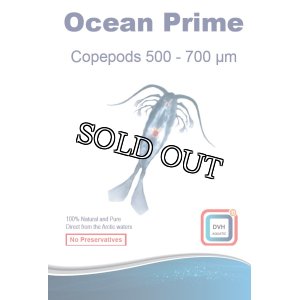 画像1: ocean prine copepoda５０gオーシャンプライムコペポーダ