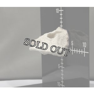 画像4: ◎Magnet Reef Shelf Nano