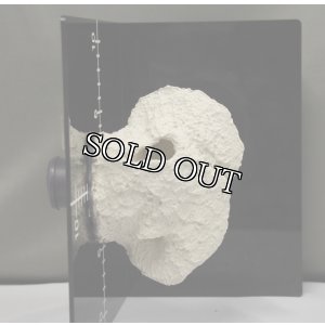 画像5: ◎Magnet Reef Shelf Nano