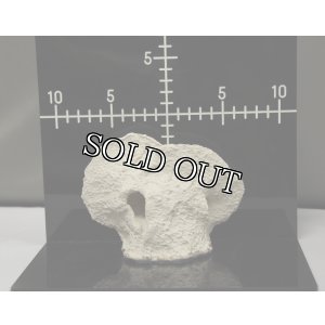 画像6: ◎Magnet Reef Shelf Nano