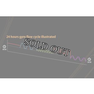 画像5: ジャイルフローポンプ　MJ-GF　SERIES　GYRE FLOW PIMP