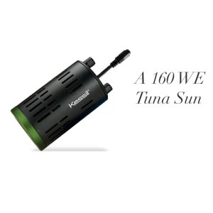 画像: Kessil　A１６０ＷＥ　Tuna Sun