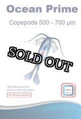 画像: ocean prine copepoda５０gオーシャンプライムコペポーダ
