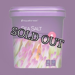 画像: Aqua forest（アクアフォレスト）SEA SALT 22Kg