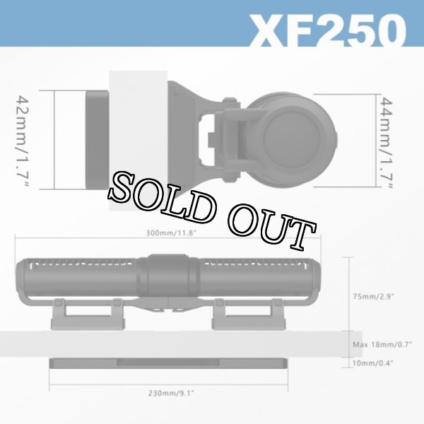 画像2: Gyre XF-250 本体ユニット