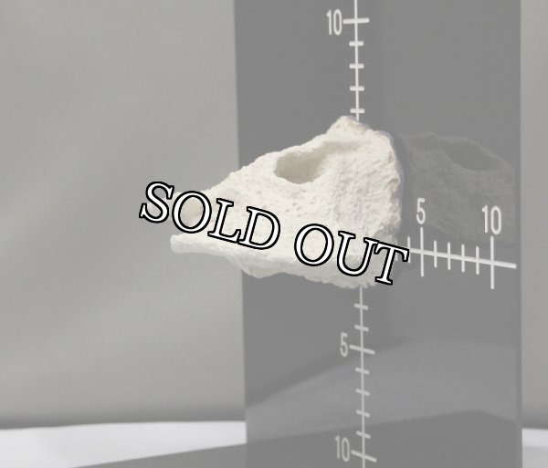 画像4: ◎Magnet Reef Shelf Nano