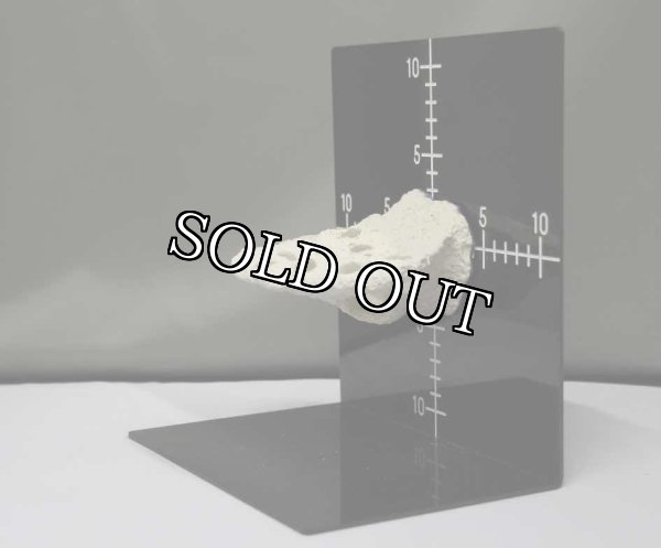 画像5: ◎Magnet Frag Station Nano 