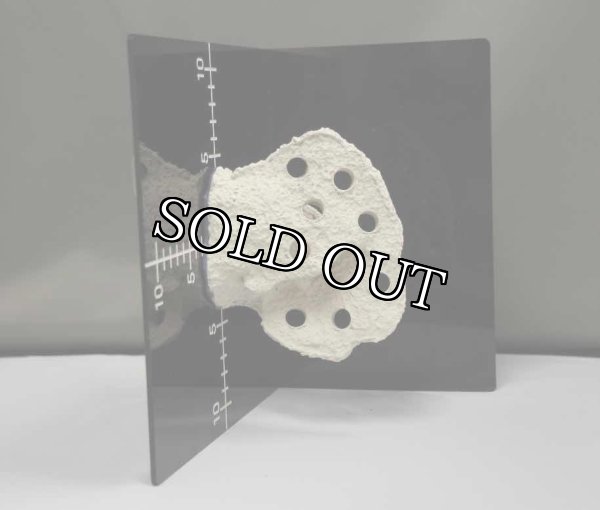 画像6: ◎Magnet Frag Station Nano 