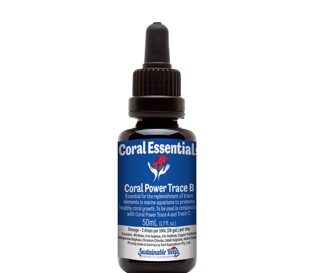 画像1: Coral Essentials Coral Power Trace　B 